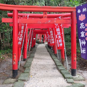 Kumano (Mie), Torii gates alley in Hana-no-Iwaya shrine