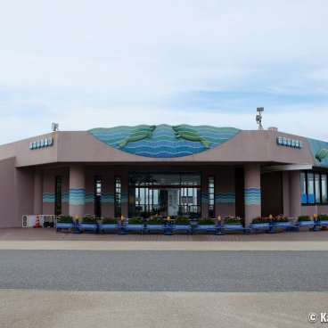 Okinawa Churaumi Aquarium, Manatees' pool