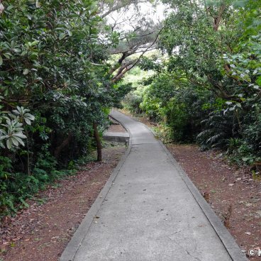 Makiyama Observatory (Irabu-jima), Path to access the observatory