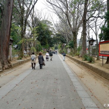 Omiya (Saitama), Hikawa Sando path and emaki scroll reproduction at the entrance of Hikawa-jinja shrine