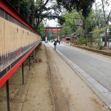 Omiya (Saitama), Hikawa Sando path and San no Torii gate at the entrance of Hikawa-jinja shrine