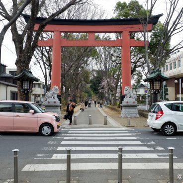 Omiya (Saitama), Ni no Torii gate on Hikawa Sando path to the entrance of Hikawa-jinja shrine