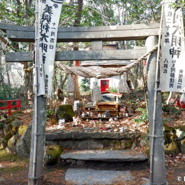 Tashirojima (Ishinomaki), Miyori Daimyojin cat shrine