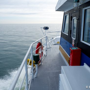 Tashirojima (Ishinomaki), On the boat for the cat island 
