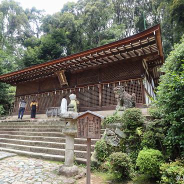 Ujigami-jinja, Honden main hall