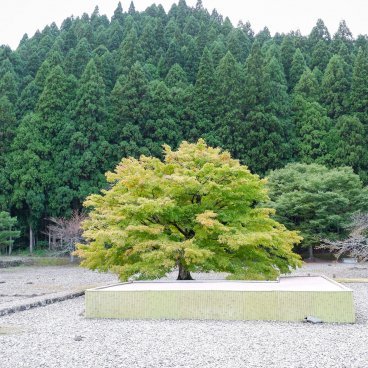Ichijodani Asakura Clan Ruins (Fukui)