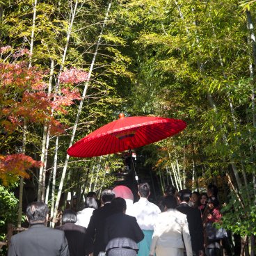 Shinto wedding in Kinomiya-jinja shrine