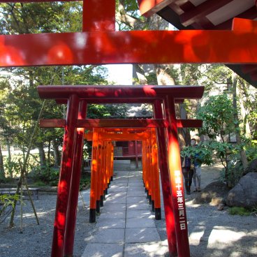 Torii gates at Kinomiya-jinja shrine