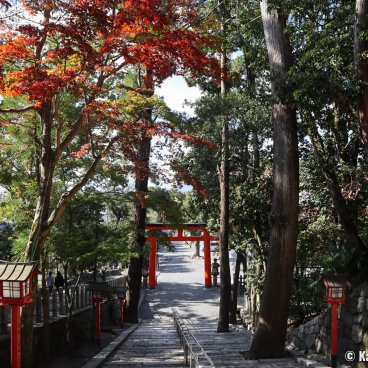 Yoshida-jinja (Kyoto), Torii gate and alley 5