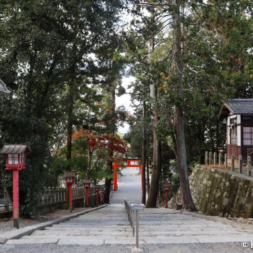 Yoshida-jinja (Kyoto), Torii gate and alley