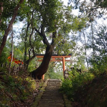 Yoshida-jinja (Kyoto), Torii gate and alley 2