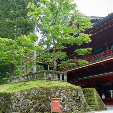 Rinno-ji (Nikko), Temple's grounds in summer