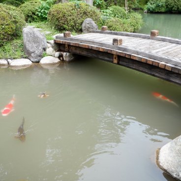 Rinno-ji (Nikko), Pond with koi carps near Sanbutsudo main hall