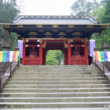 Taiyuin (Nikko), Niomon Gate 2