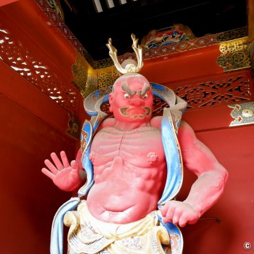 Taiyuin (Nikko), Naraen Nio guardian at the Niomon Gate