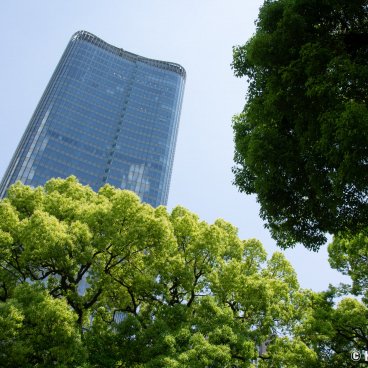 Hibiya Park (Tokyo), View on the large trees and skyscrapers