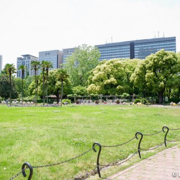 Hibiya Park (Tokyo), Alley and lawn of the public garden in spring