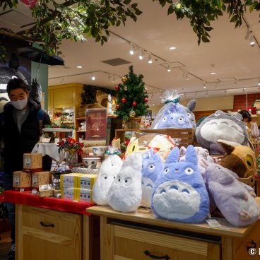 Donguri Ghibli Store Japan 2