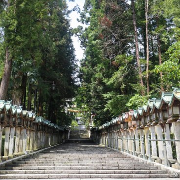 Hozan-ji (Nara), Stairway at the entrance of the temple