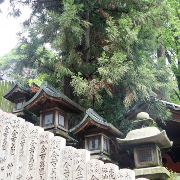 Hozan-ji (Nara), Lanterns on the stairway's side at the entrance of the temple