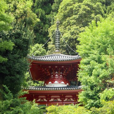 Hozan-ji (Nara), Red Tahoto pagoda