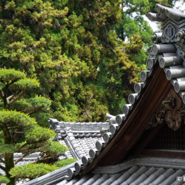 Hozan-ji (Nara), View on the temple's roofs