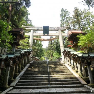 Hozan-ji (Nara), Stairway and torii gate at the entrance of the temple