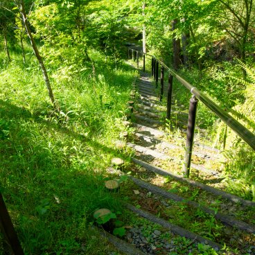 Josho-ji (Kyoto), Path behind the temple leading to Hakuba Kannon's pond