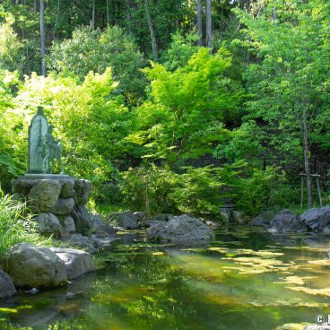 Josho-ji (Kyoto), Pond and Hakuba Kannon statue behind the temple