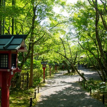 Josho-ji (Kyoto), Path sided by green maple trees and red lanterns