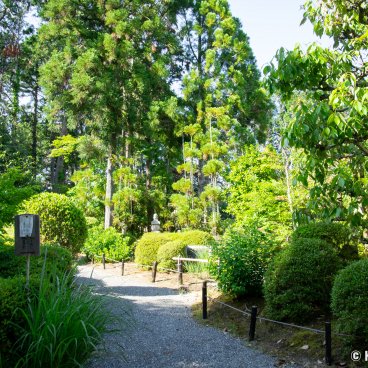 Josho-ji (Kyoto), Greeneries in the temple's grounds
