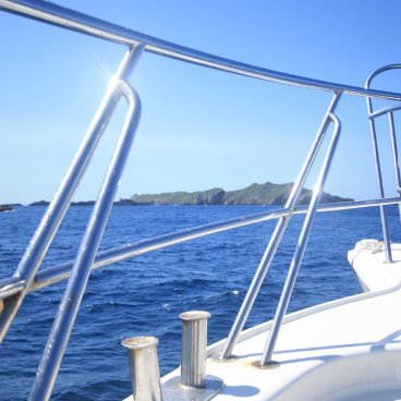 Ogasawara Archipelago, Whale watching 2