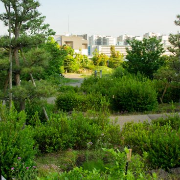 Meguro Sky Garden, View on Tokyo's buildings from the park 2