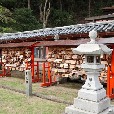 Wakaura Tenmangu (Wakayama), Ema votive plates at the shrine