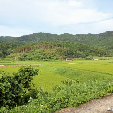 Nordisk Village on Goto Islands, View on the countryside and rice paddies from the village 2