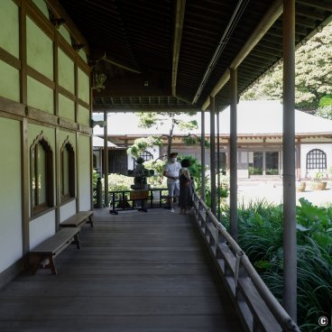 Komyo-ji (Kamakura), Wooden veranda with a view on Kodai-Hasu lotus pond