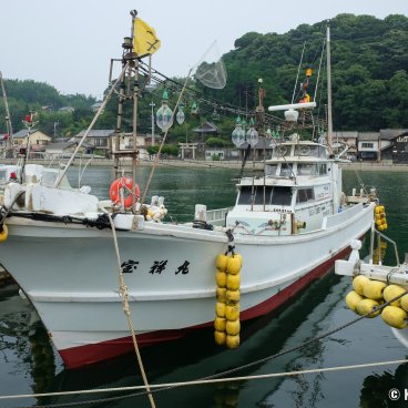 Karatsu (Saga, Kyushu), Fisherman's boat in Yobuko port