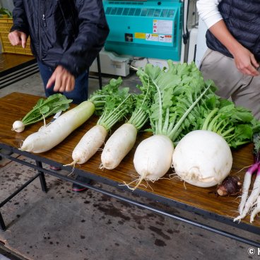 Uosaburo (Fushimi), Japanese vegetables produced at the neighboring Yamada Farm