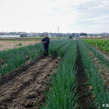 Uosaburo (Fushimi), Field of the neighboring Yamada Farm