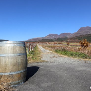 Mounts Kuju (Taketa, Oita), Kuju Winery