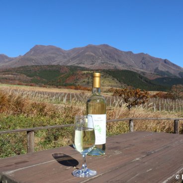 Mounts Kuju (Taketa, Oita), Kuju Winery 2