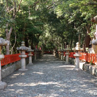 Kishu Tosho-gu (Wakayama), Cobbled path sidelined with lanterns