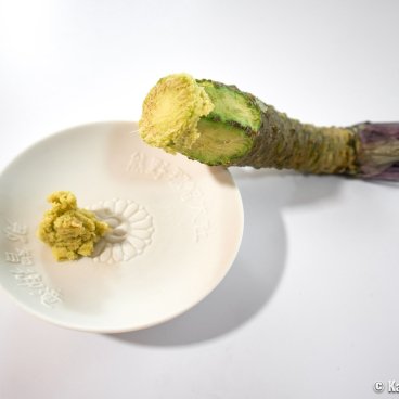 Green paste grated from a root of natural Japanese wasabi