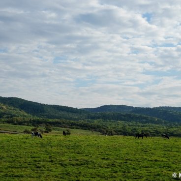 Abashiri (Hokkaido), Surroundings of Cape Notoro