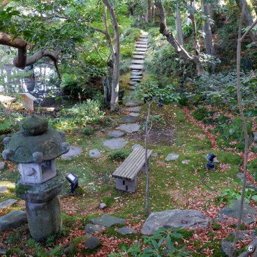 Gyokusen-en (Kanazawa), View on the Japanese garden in autumn 2