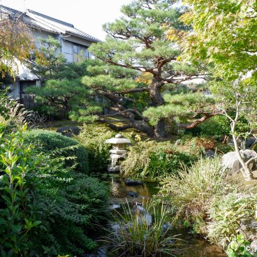 Nagamachi (Kanazawa), Japanese garden at the Takada Family House