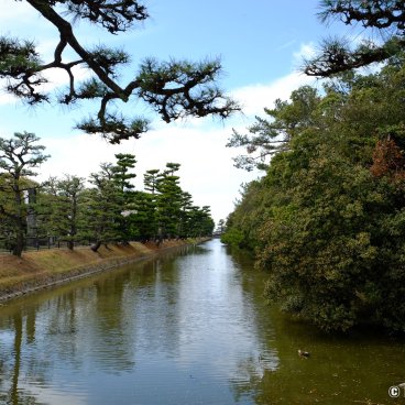 Daisen Park (Sakai, Osaka), Moat surrounding Daisen-ryo Kofun
