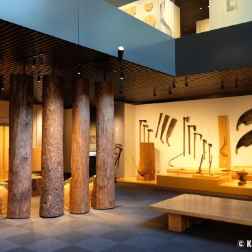 Takenaka Carpentry Tools Museum (Kobe), Exhibition of wood logs and Japanese saws
