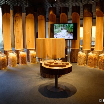Takenaka Carpentry Tools Museum (Kobe), Exposition of various wood species