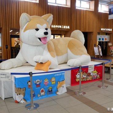 Akita, Large Akita-inu plush toy displayed in the West Hall of the Shinkansen JR station